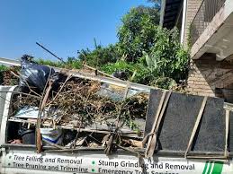 Best Hoarding Cleanup  in Clare, MI